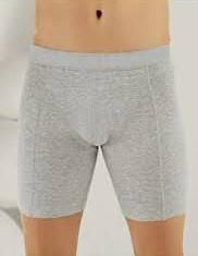 Berrak 1125 Erkek Uzun Boxer -GRİML - -L