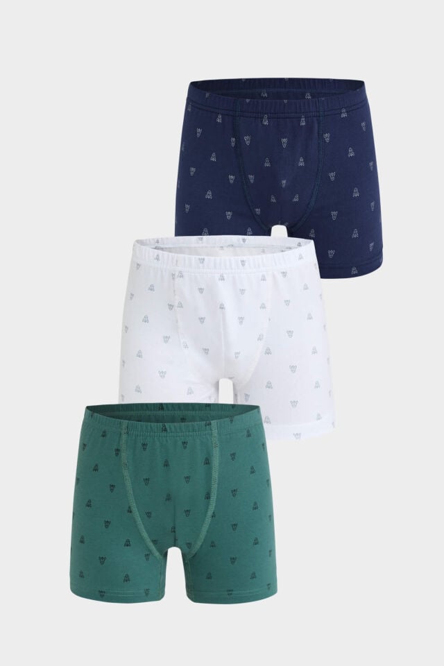Berrak 5081 erkek çocuk 3lü boxer