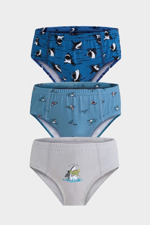 Berrak 5071 erkek çocuk 3lü slip