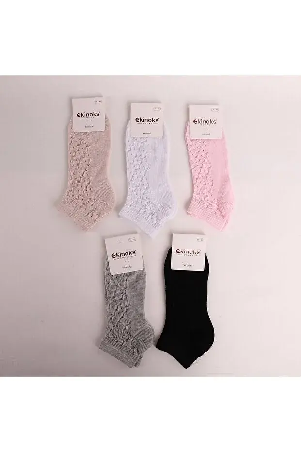 Ekinoks bayan file patik