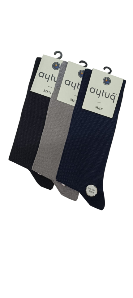 Aytuğ 13003 erkek modal çorap