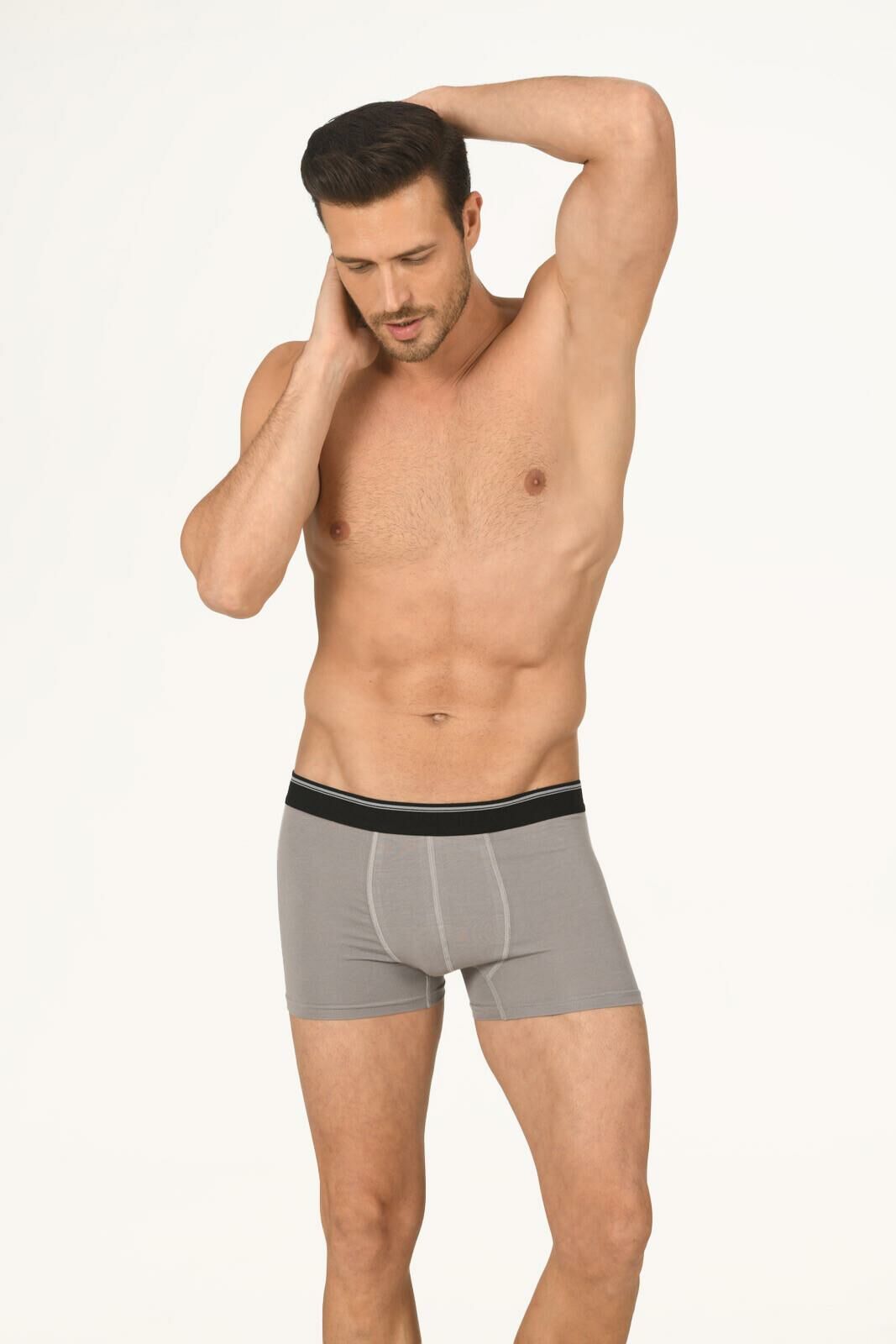 Nbb 735 Erkek Modal Boxer -GRİML - - S