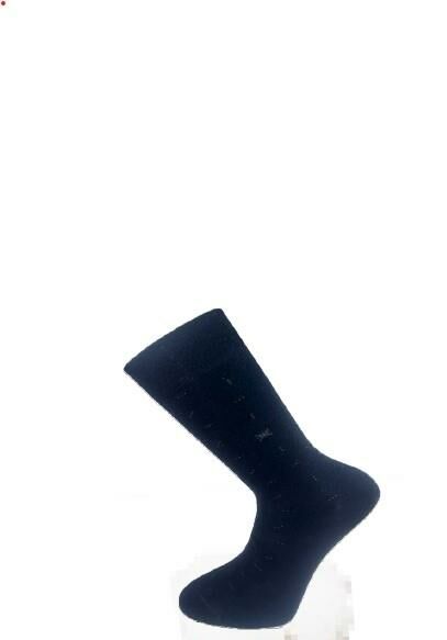 PRO 15546 ERKEK PENYE MEVSİMLİK ÇORAP G