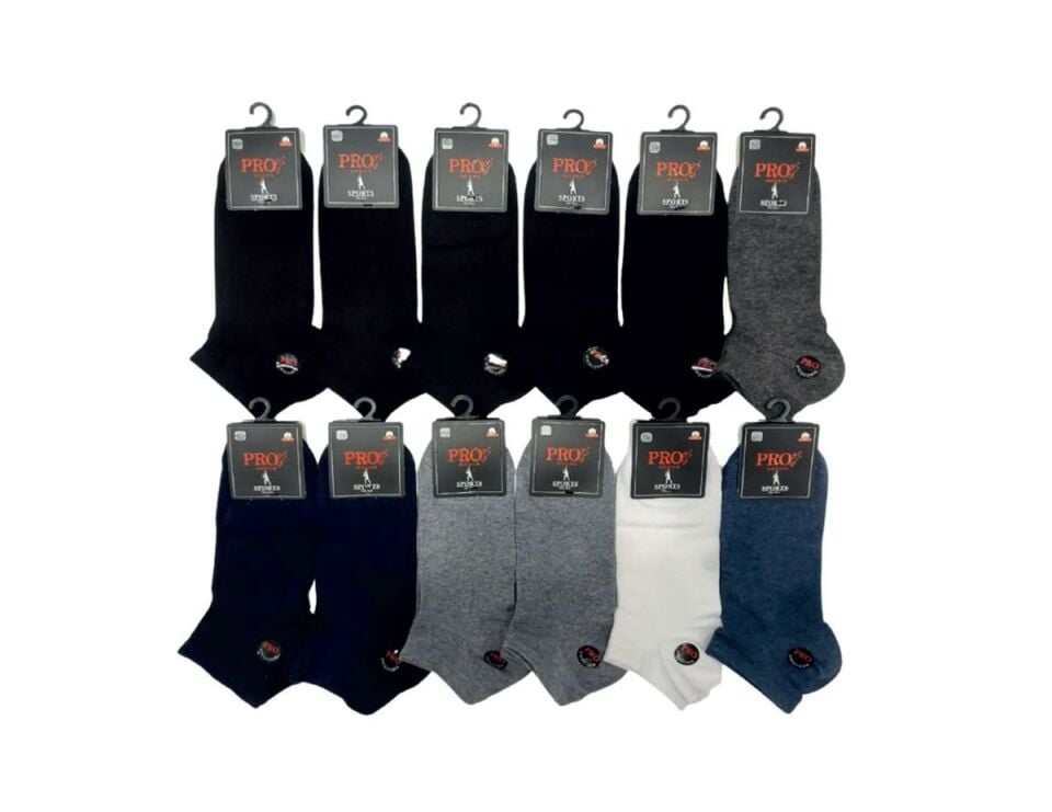 PRO 10505 ERKEK PENYE PATİK