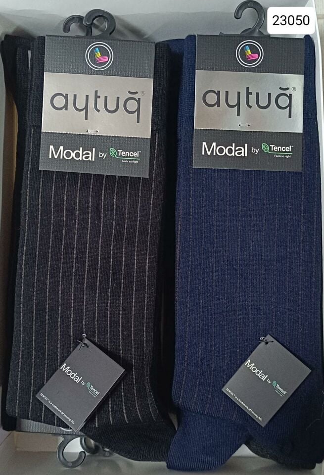 Aytuğ 23050 erkek modal çorap mevs
