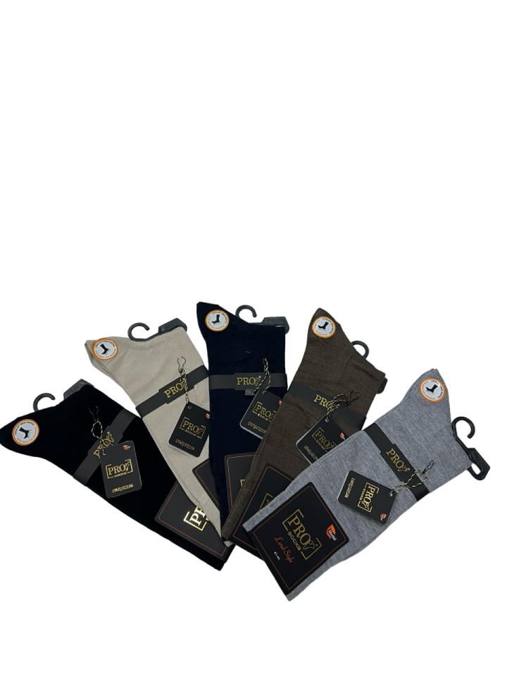 Pro 18102 Erkek Modal Yazlık Çorap