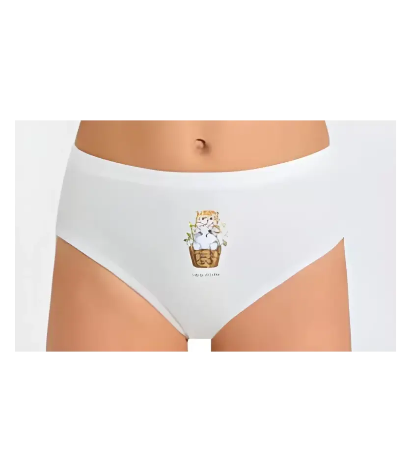 Berrak 5653 kız çocuk 3lü slip külot